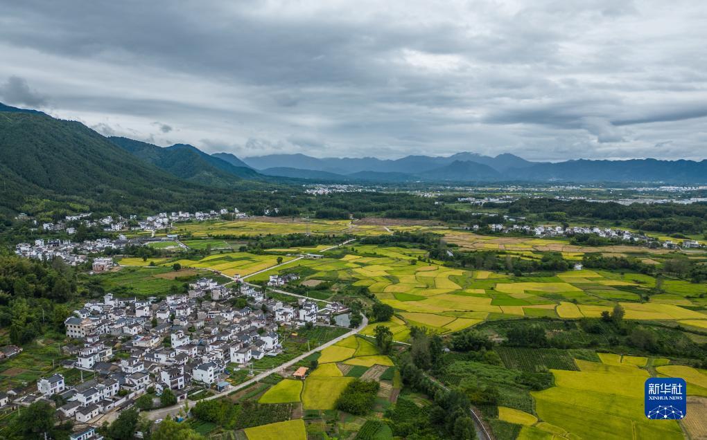 冰球突破网站